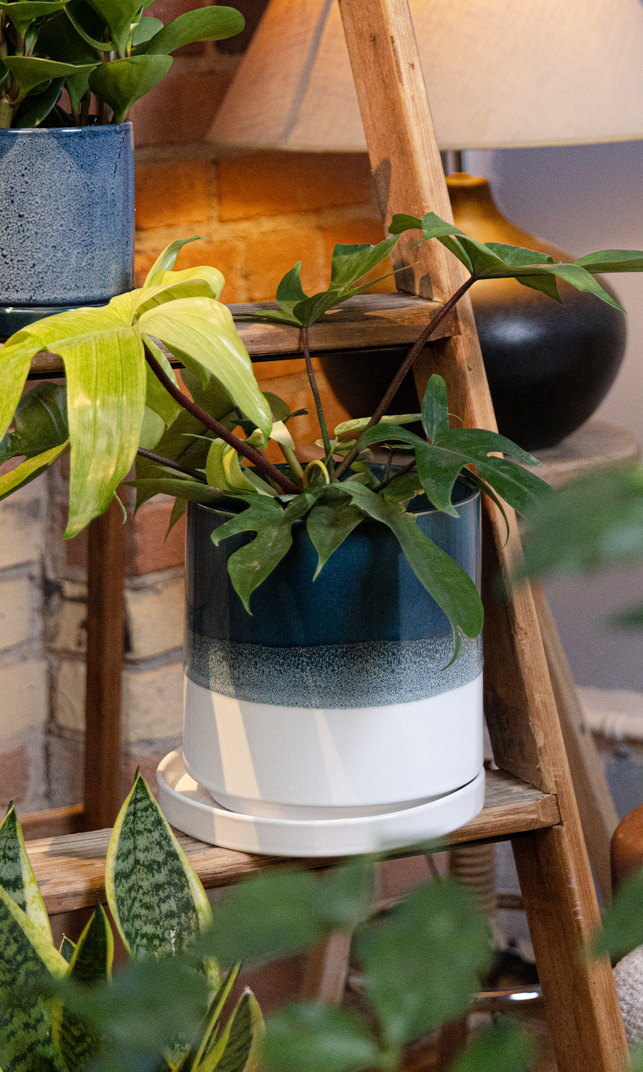 Large Minute Ceramic Pots & Saucer | 6", 7" & 8" Indoor Planter - Chive Ceramics Studio - Pots - Chive Ceramics Studio
