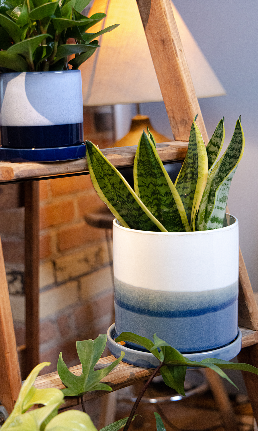 Large Minute Ceramic Pots & Saucer | 6", 7" & 8" Indoor Planter - Chive Ceramics Studio - Pots - Chive Ceramics Studio