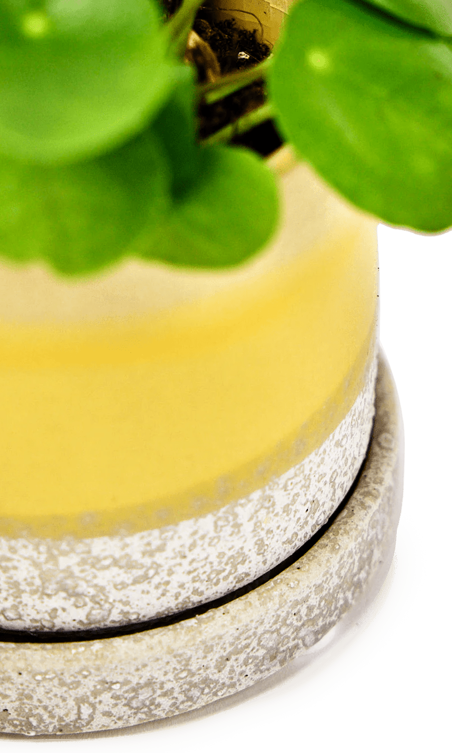 Large Minute Ceramic Pots & Saucer | 6", 7" & 8" Indoor Planter - Chive Ceramics Studio - Pots - Chive Ceramics Studio