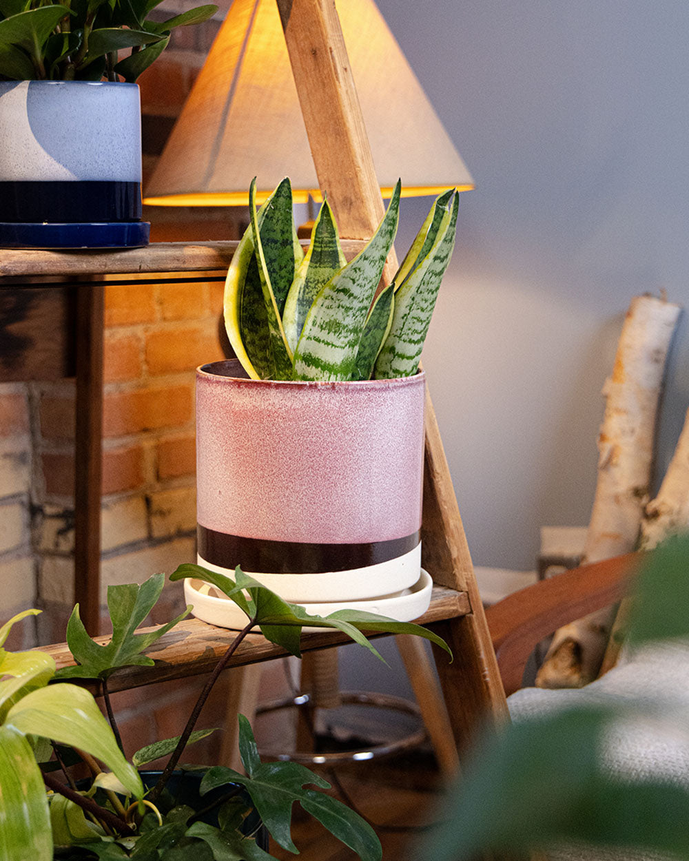 Large Minute Ceramic Pots & Saucer | 6", 7" & 8" Indoor Planter - Chive Ceramics Studio - Pots - Chive Ceramics Studio