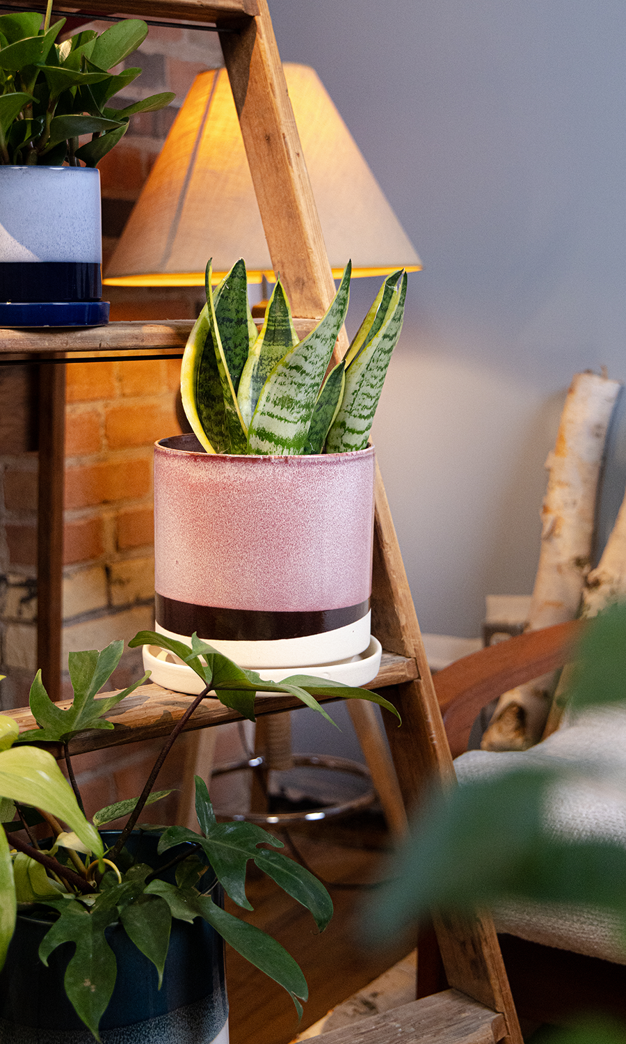 Large Minute Ceramic Pots & Saucer | 6", 7" & 8" Indoor Planter - Chive Ceramics Studio - Pots - Chive Ceramics Studio