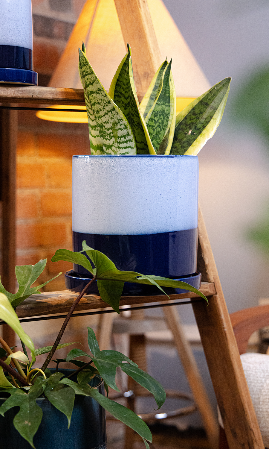 Large Minute Ceramic Pots & Saucer | 6", 7" & 8" Indoor Planter - Chive Ceramics Studio - Pots - Chive Ceramics Studio