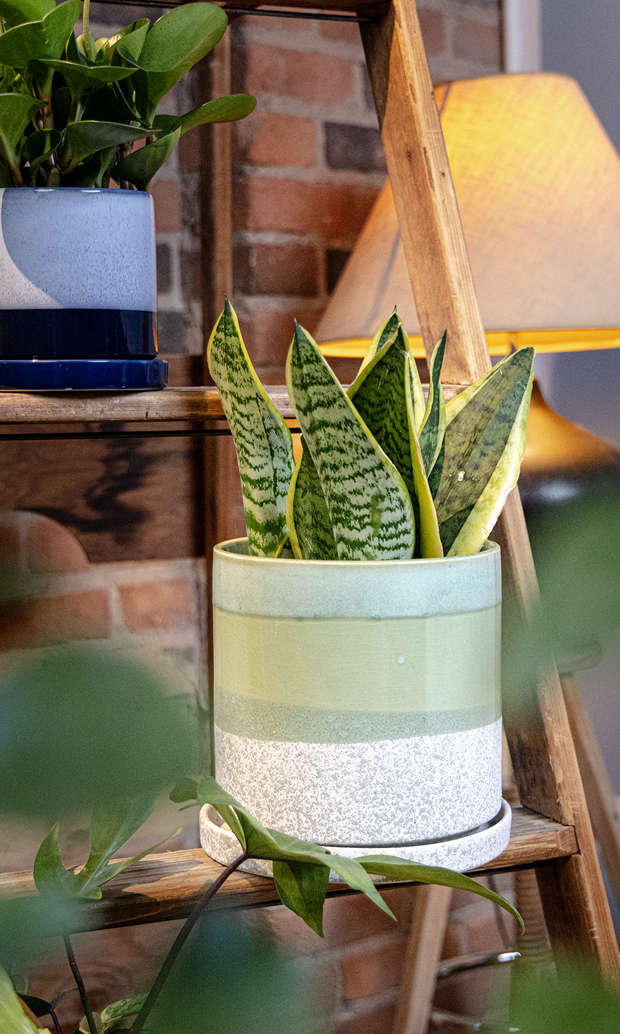 Large Minute Ceramic Pots & Saucer | 6", 7" & 8" Indoor Planter - Chive Ceramics Studio - Pots - Chive Ceramics Studio