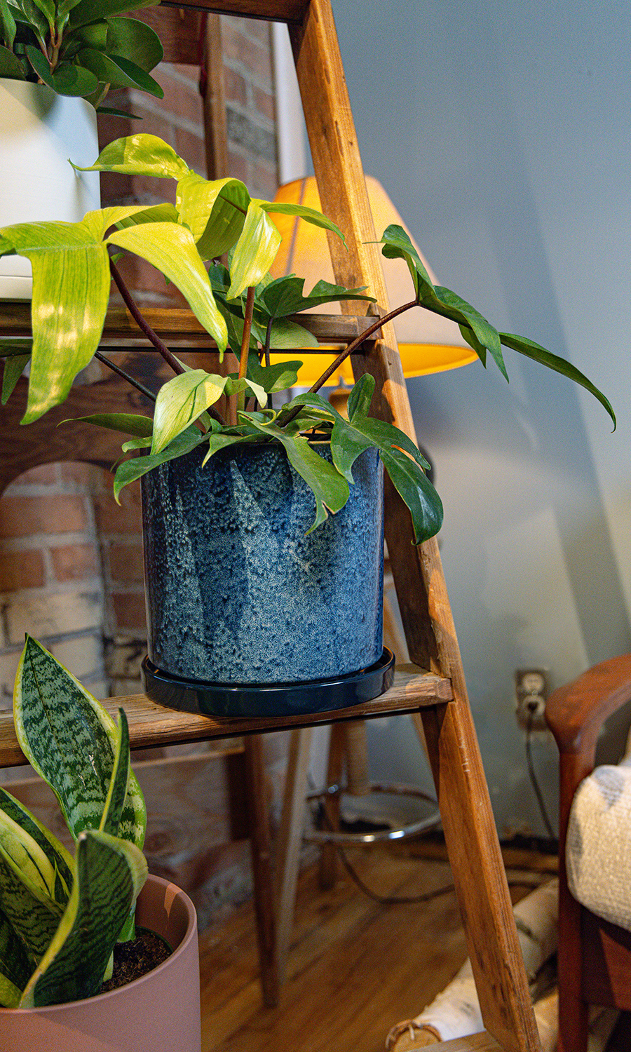 Large Minute Ceramic Pots & Saucer | 6", 7" & 8" Indoor Planter - Chive Ceramics Studio - Pots - Chive Ceramics Studio
