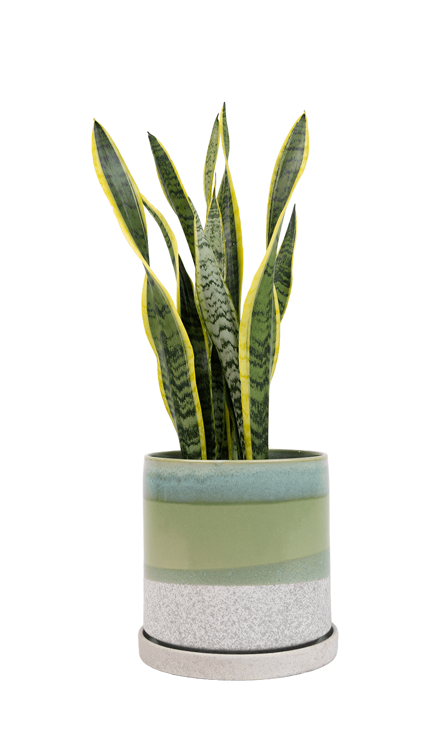 Large Minute Ceramic Pots & Saucer | 6", 7" & 8" Indoor Planter - Chive Ceramics Studio - Pots - Chive Ceramics Studio