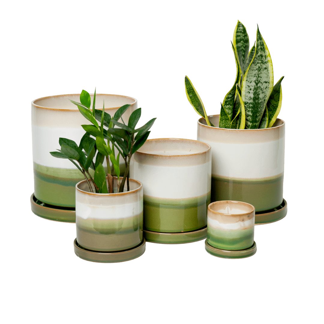 Large Minute Ceramic Pots & Saucer | 6", 7" & 8" Indoor Planter - Chive Ceramics Studio - Pots - Chive Ceramics Studio