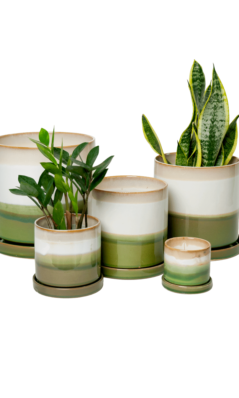 Large Minute Ceramic Pots & Saucer | 6", 7" & 8" Indoor Planter - Chive Ceramics Studio - Pots - Chive Ceramics Studio