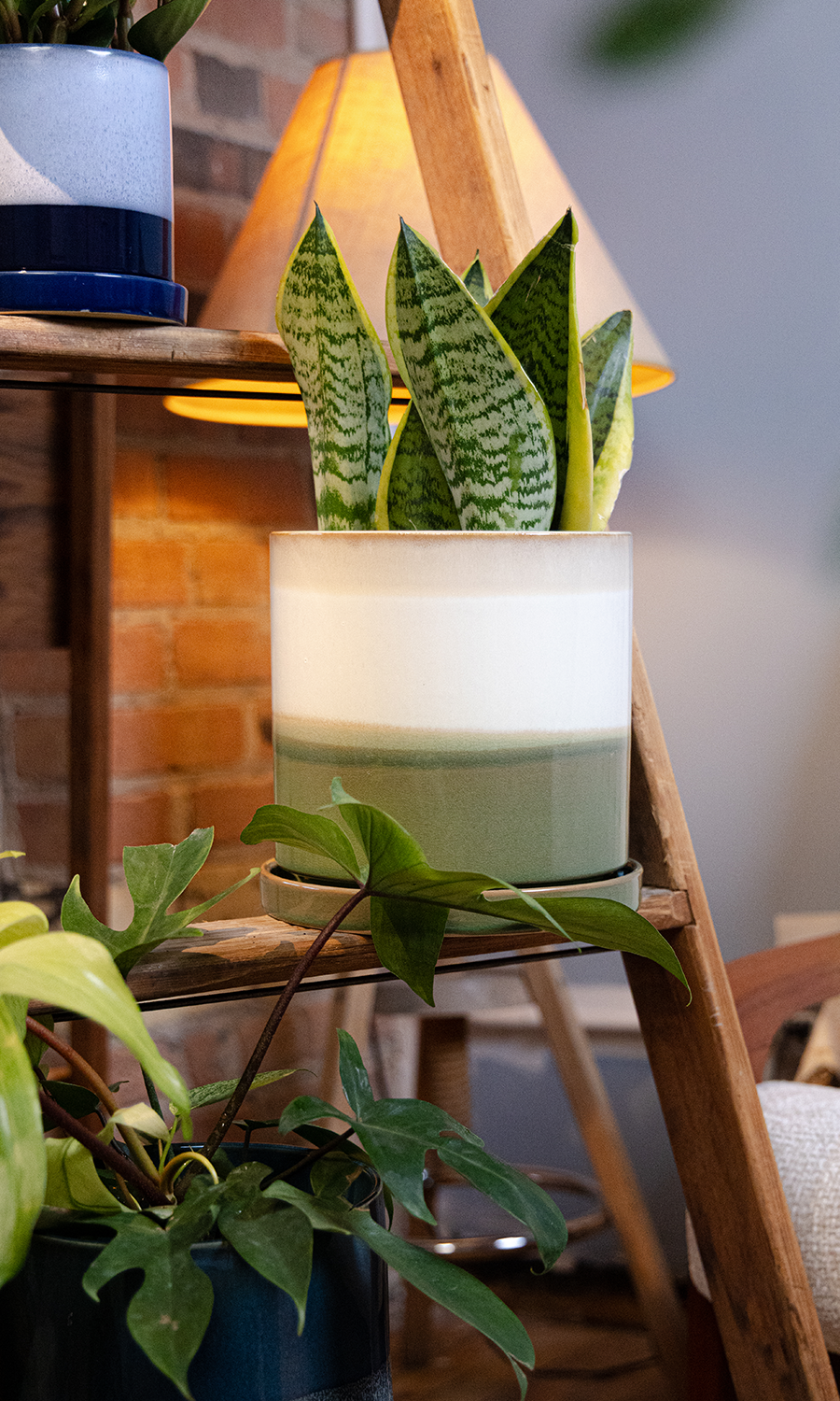 Large Minute Ceramic Pots & Saucer | 6", 7" & 8" Indoor Planter - Chive Ceramics Studio - Pots - Chive Ceramics Studio