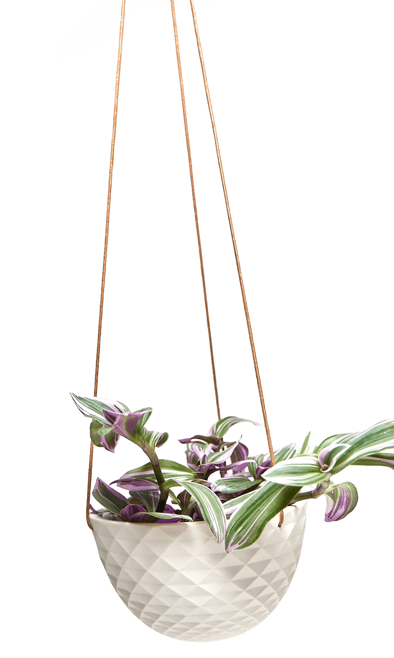 Mini Mofo Porcelain Modern Hanging Planter - Chive Ceramics Studio - Pots - Chive Ceramics Studio