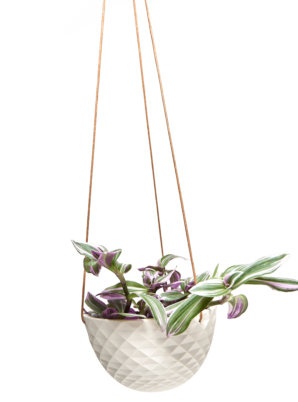 Mini Mofo Porcelain Modern Hanging Planter - Chive Ceramics Studio - Pots - Chive Ceramics Studio