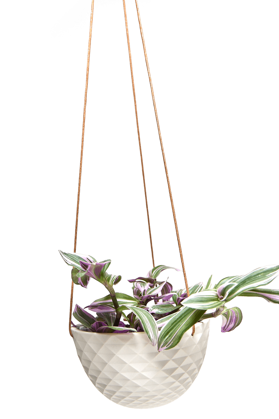 Mini Mofo Porcelain Modern Hanging Planter - Chive Ceramics Studio - Pots - Chive Ceramics Studio