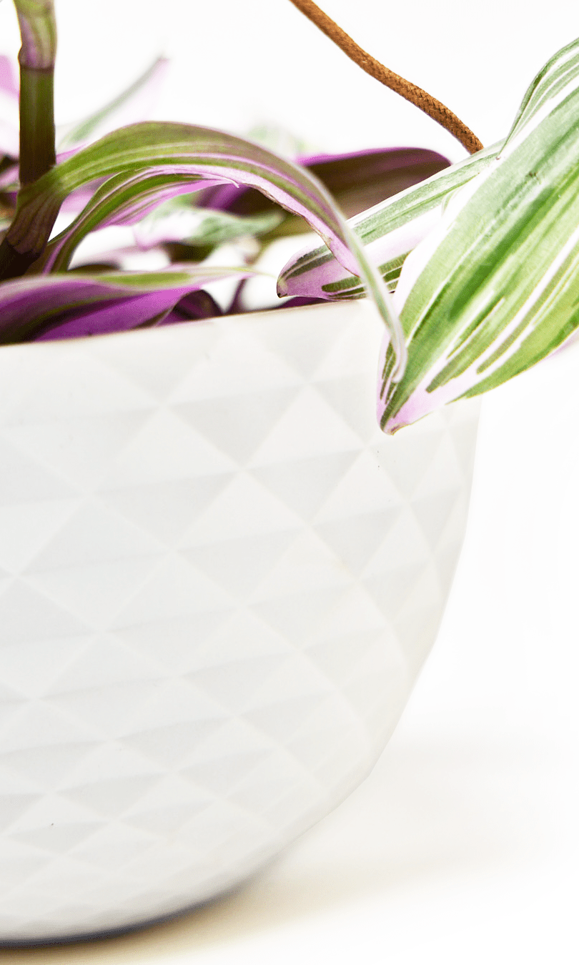 Mini Mofo Porcelain Modern Hanging Planter - Chive Ceramics Studio - Pots - Chive Ceramics Studio