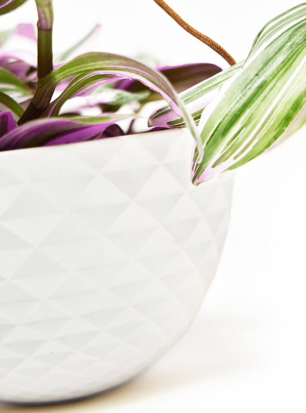 Mini Mofo Porcelain Modern Hanging Planter - Chive Ceramics Studio - Pots - Chive Ceramics Studio