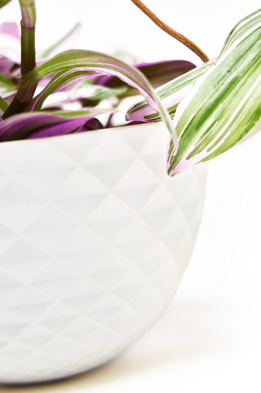 Mini Mofo Porcelain Modern Hanging Planter - Chive Ceramics Studio - Pots - Chive Ceramics Studio