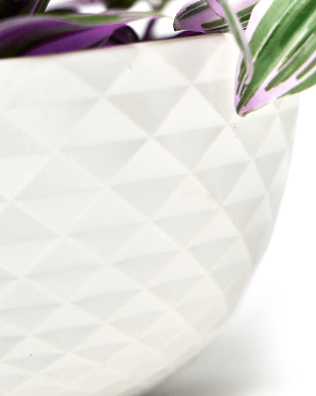 Mini Mofo Porcelain Modern Hanging Planter - Chive Ceramics Studio - Pots - Chive Ceramics Studio