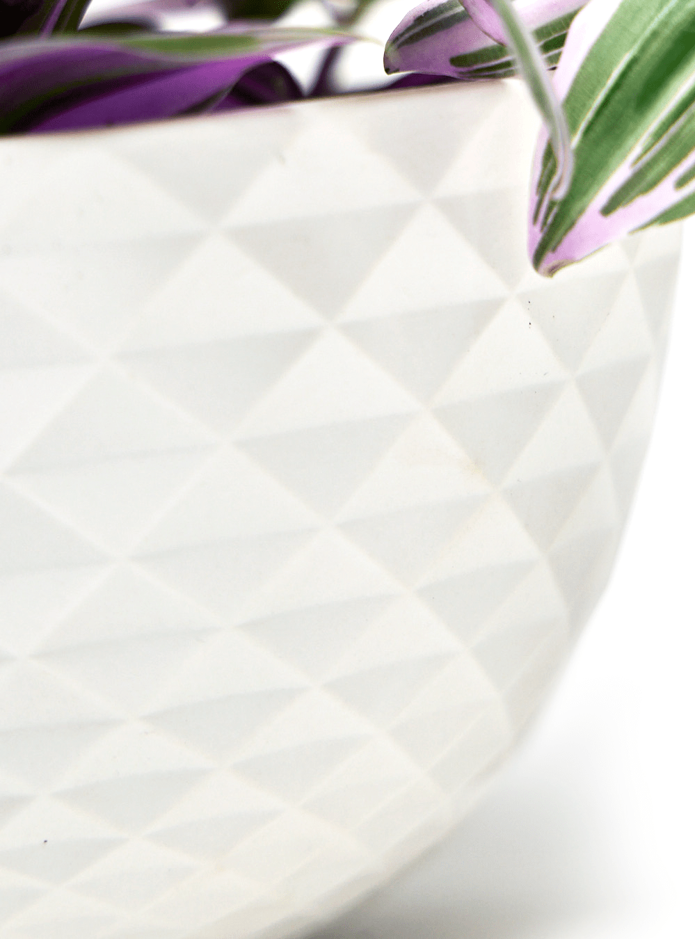 Mini Mofo Porcelain Modern Hanging Planter - Chive Ceramics Studio - Pots - Chive Ceramics Studio