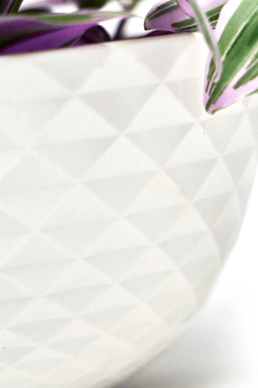 Mini Mofo Porcelain Modern Hanging Planter - Chive Ceramics Studio - Pots - Chive Ceramics Studio