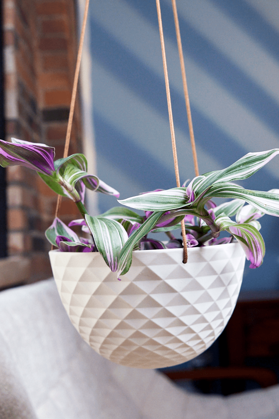 Mini Mofo Porcelain Modern Hanging Planter - Chive Ceramics Studio - Pots - Chive Ceramics Studio