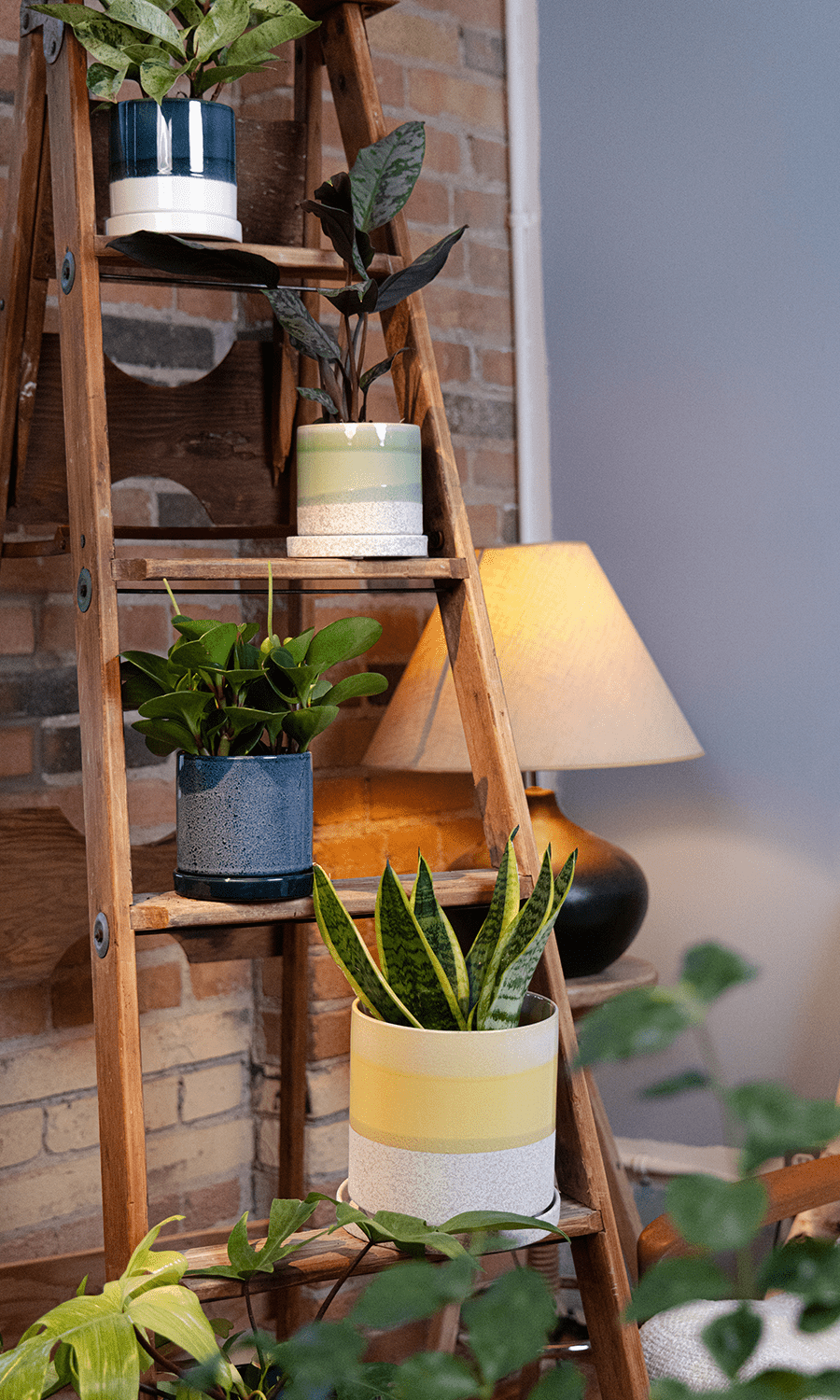 Large Minute Ceramic Pots & Saucer | 6", 7" & 8" Indoor Planter - Chive Ceramics Studio - Pots - Chive Ceramics Studio