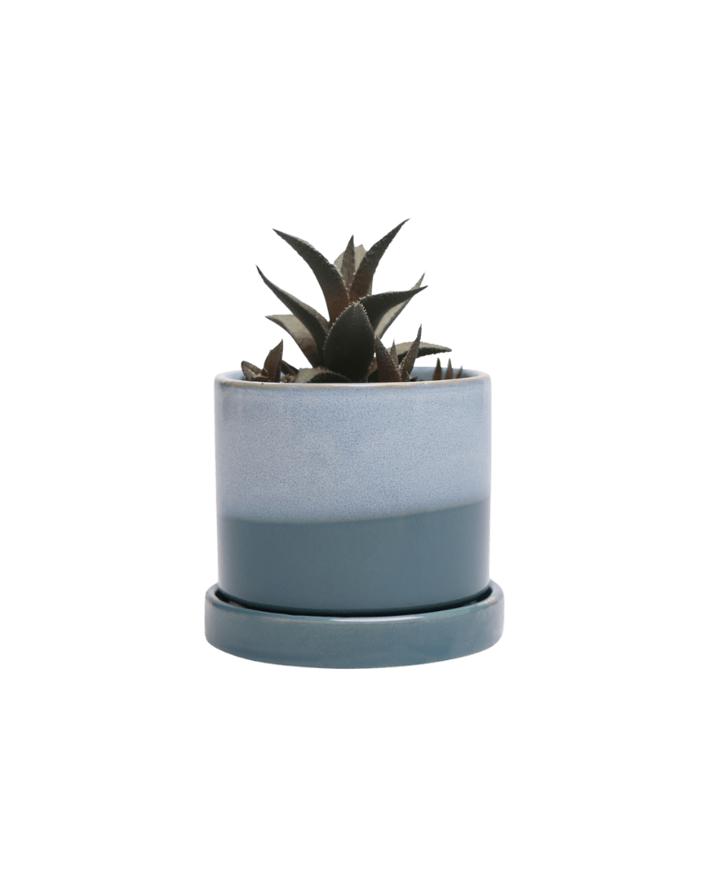 Minute Ceramic Pot And Saucer Set With Drainage | 3 inch - Chive Ceramics Studio - Pots - Chive Ceramics Studio