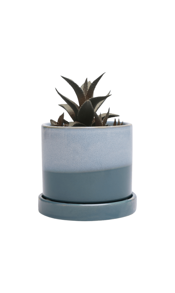 Minute Ceramic Pot And Saucer Set With Drainage | 3 inch - Chive Ceramics Studio - Pots - Chive Ceramics Studio