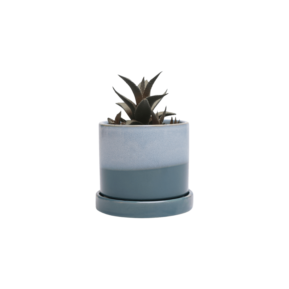 Minute Ceramic Pot And Saucer Set With Drainage | 3 inch - Chive Ceramics Studio - Pots - Chive Ceramics Studio