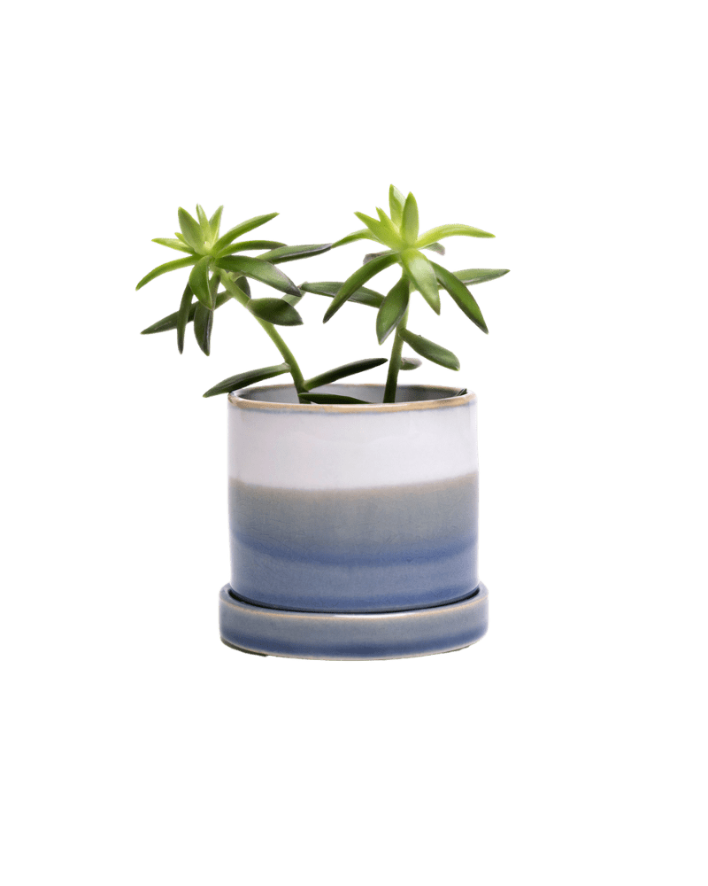 Minute Ceramic Pot And Saucer Set With Drainage - Chive Ceramics Studio - Pots - Chive Ceramics Studio