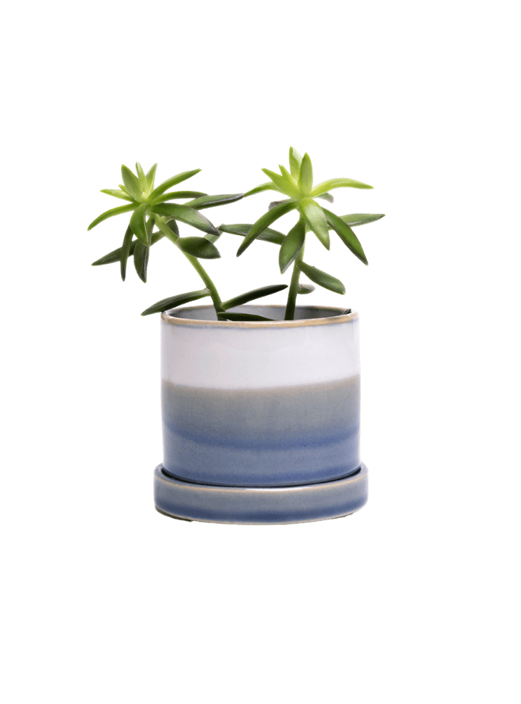 Minute Ceramic Pot And Saucer Set With Drainage - Chive Ceramics Studio - Pots - Chive Ceramics Studio