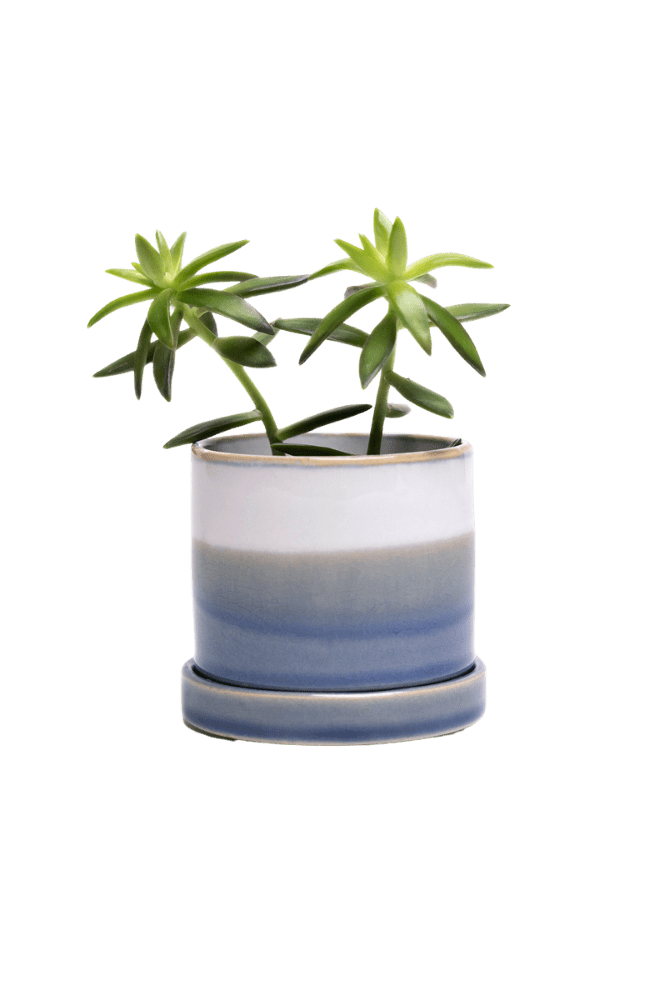 Minute Ceramic Pot And Saucer Set With Drainage - Chive Ceramics Studio - Pots - Chive Ceramics Studio