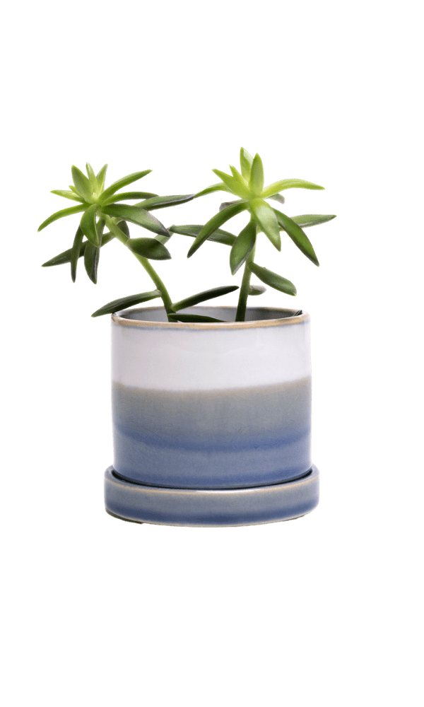 Minute Ceramic Pot And Saucer Set With Drainage - Chive Ceramics Studio - Pots - Chive Ceramics Studio