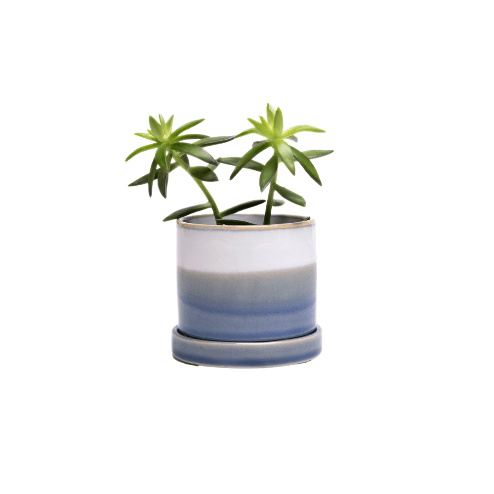 Minute Ceramic Pot And Saucer Set With Drainage - Chive Ceramics Studio - Pots - Chive Ceramics Studio