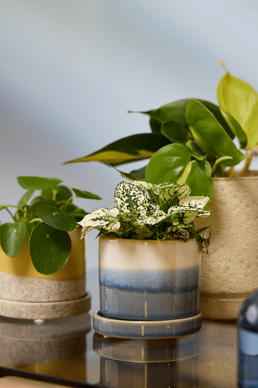 Minute Ceramic Pot And Saucer Set With Drainage - Chive Ceramics Studio - Pots - Chive Ceramics Studio