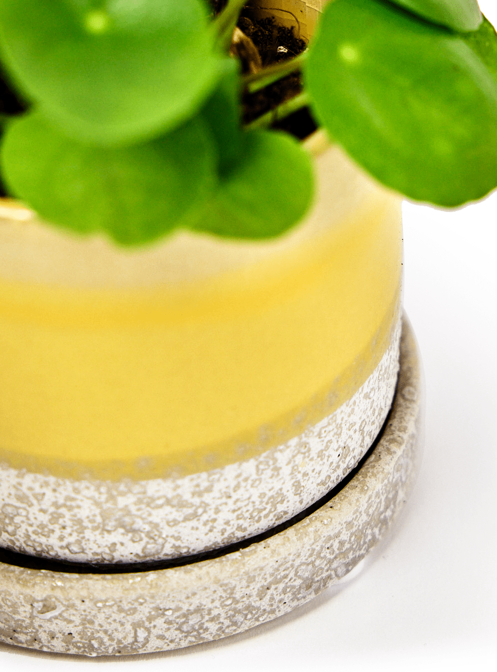 Minute Ceramic Pot And Saucer Set With Drainage - Chive Ceramics Studio - Pots - Chive Ceramics Studio