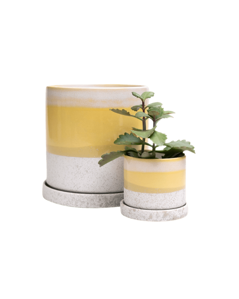 Minute Ceramic Pot And Saucer Set With Drainage | 3 & 5 inches - Chive Ceramics Studio - Pots - Chive Ceramics Studio