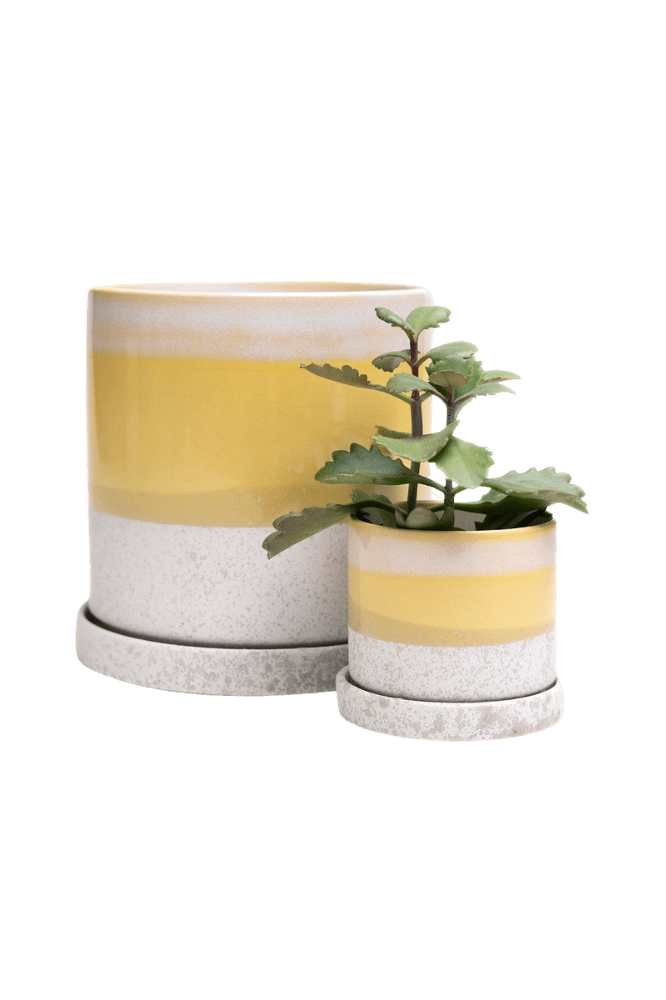 Minute Ceramic Pot And Saucer Set With Drainage | 3 & 5 inches - Chive Ceramics Studio - Pots - Chive Ceramics Studio