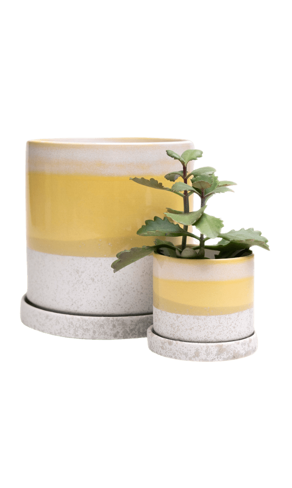 Minute Ceramic Pot And Saucer Set With Drainage | 3 & 5 inches - Chive Ceramics Studio - Pots - Chive Ceramics Studio