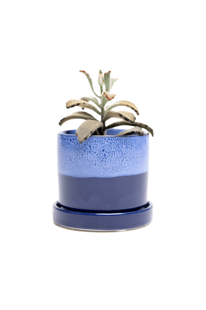 Minute Ceramic Pot And Saucer Set With Drainage | 3 inch - Chive Ceramics Studio - Pots - Chive Ceramics Studio