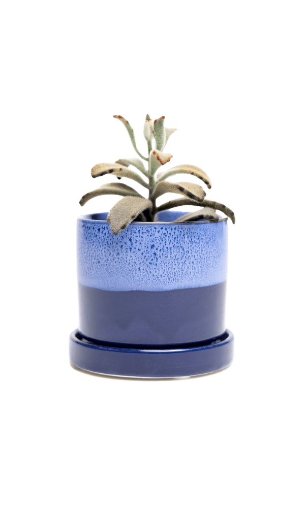 Minute Ceramic Pot And Saucer Set With Drainage | 3 inch - Chive Ceramics Studio - Pots - Chive Ceramics Studio