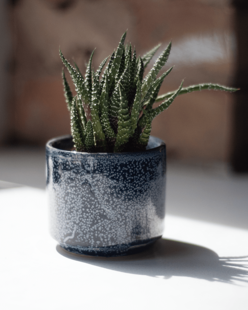 Minute Ceramic Pot And Saucer Set With Drainage - Chive Ceramics Studio - Pots - Chive Ceramics Studio