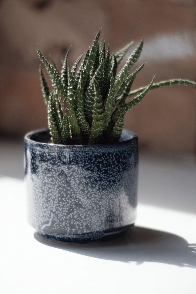 Minute Ceramic Pot And Saucer Set With Drainage - Chive Ceramics Studio - Pots - Chive Ceramics Studio