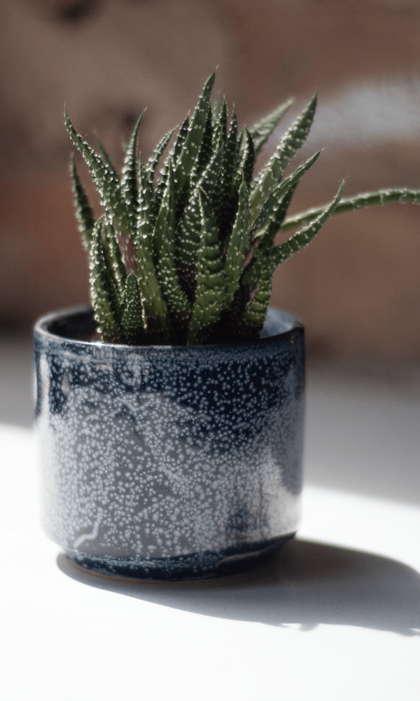 Minute Ceramic Pot And Saucer Set With Drainage - Chive Ceramics Studio - Pots - Chive Ceramics Studio