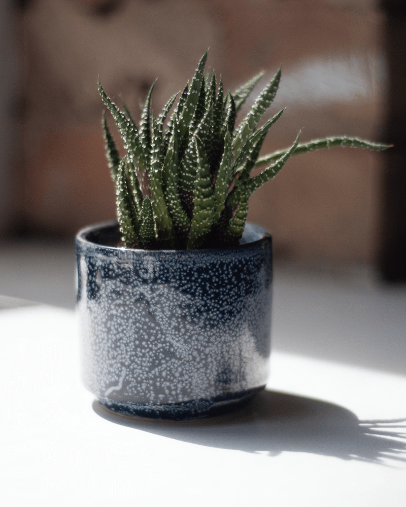 Minute Ceramic Pot And Saucer Set With Drainage - Chive Ceramics Studio - Pots - Chive Ceramics Studio