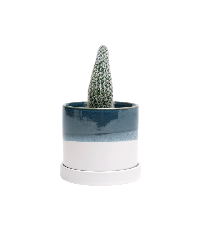 Minute Ceramic Pot And Saucer Set With Drainage | 3 & 5 inches - Chive Ceramics Studio - Pots - Chive Ceramics Studio