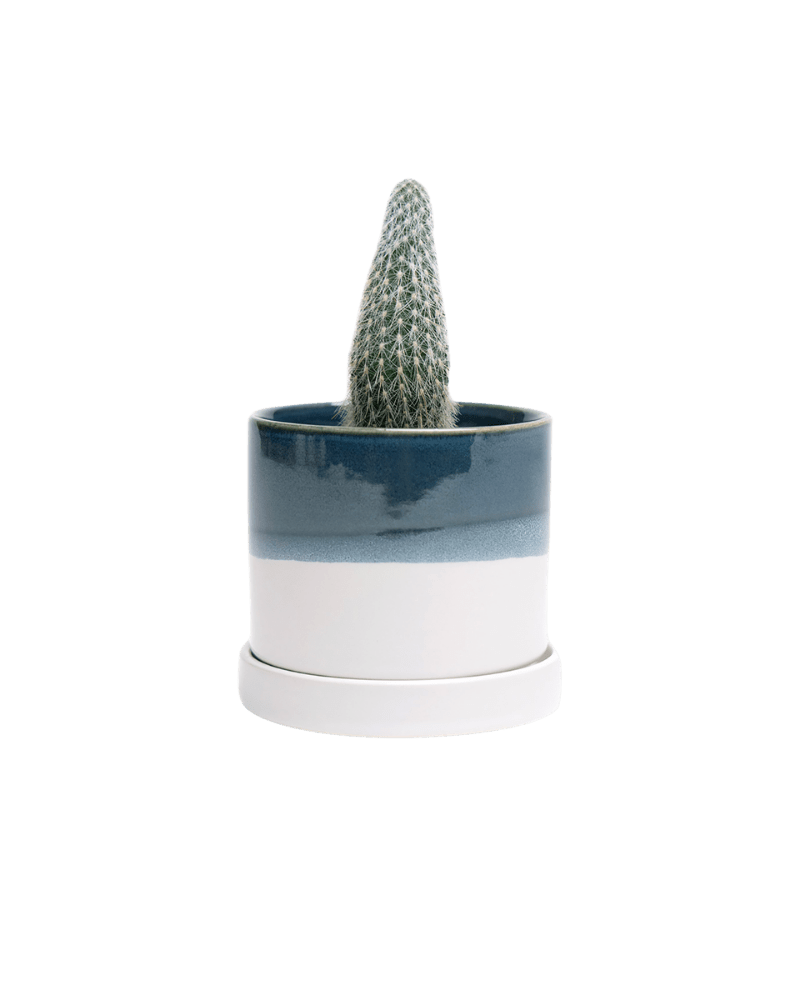 Minute Ceramic Pot And Saucer Set With Drainage | 3 & 5 inches - Chive Ceramics Studio - Pots - Chive Ceramics Studio