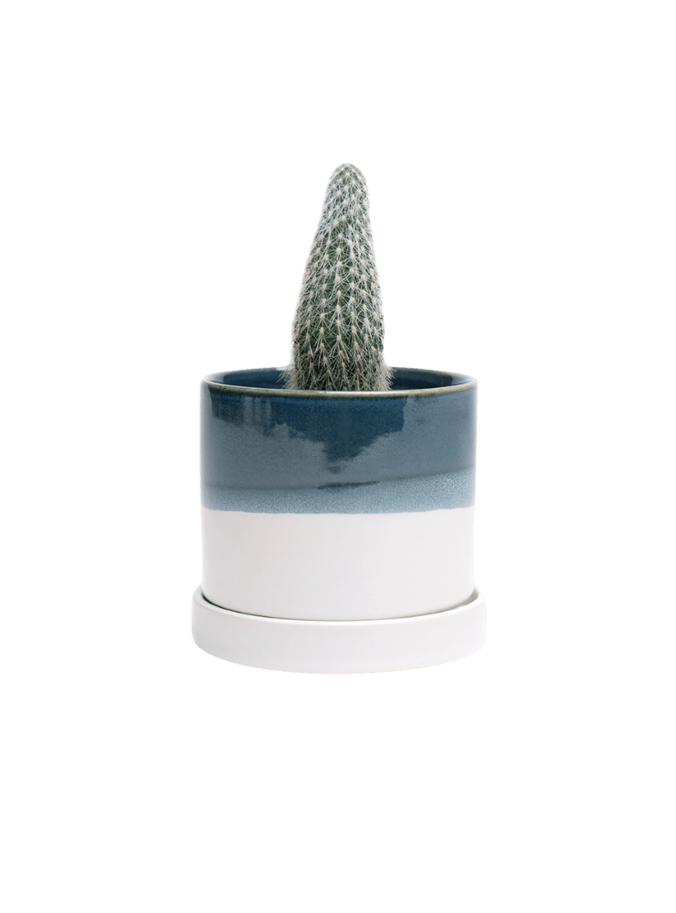 Minute Ceramic Pot And Saucer Set With Drainage | 3 & 5 inches - Chive Ceramics Studio - Pots - Chive Ceramics Studio