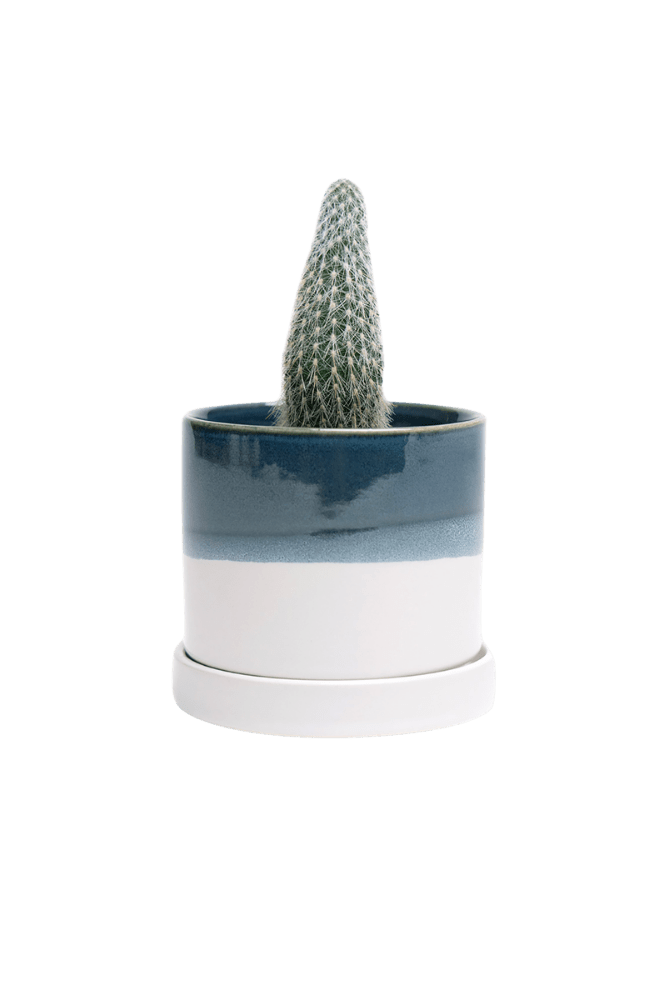 Minute Ceramic Pot And Saucer Set With Drainage | 3 & 5 inches - Chive Ceramics Studio - Pots - Chive Ceramics Studio