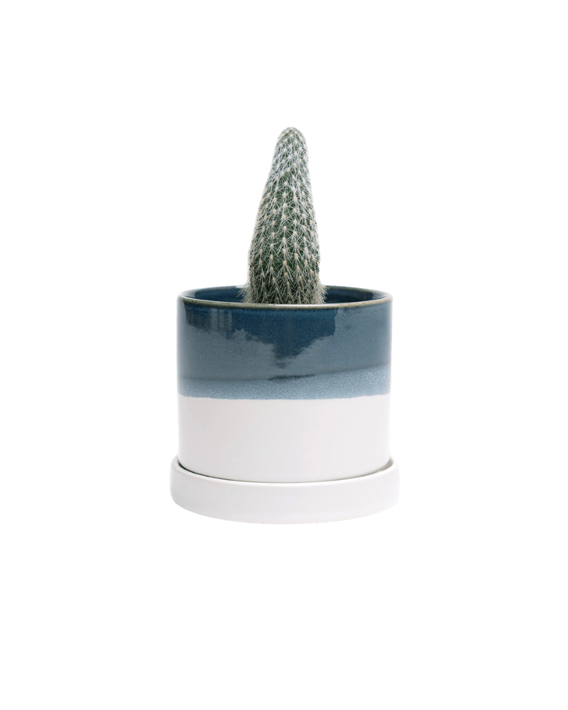 Minute Ceramic Pot And Saucer Set With Drainage | 3 & 5 inches - Chive Ceramics Studio - Pots - Chive Ceramics Studio