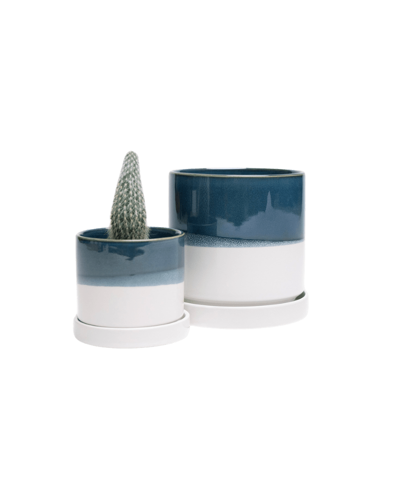 Minute Ceramic Pot And Saucer Set With Drainage | 3 & 5 inches - Chive Ceramics Studio - Pots - Chive Ceramics Studio