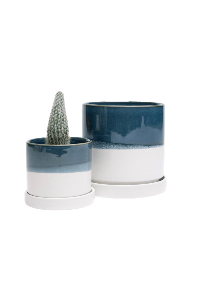 Minute Ceramic Pot And Saucer Set With Drainage | 3 & 5 inches - Chive Ceramics Studio - Pots - Chive Ceramics Studio