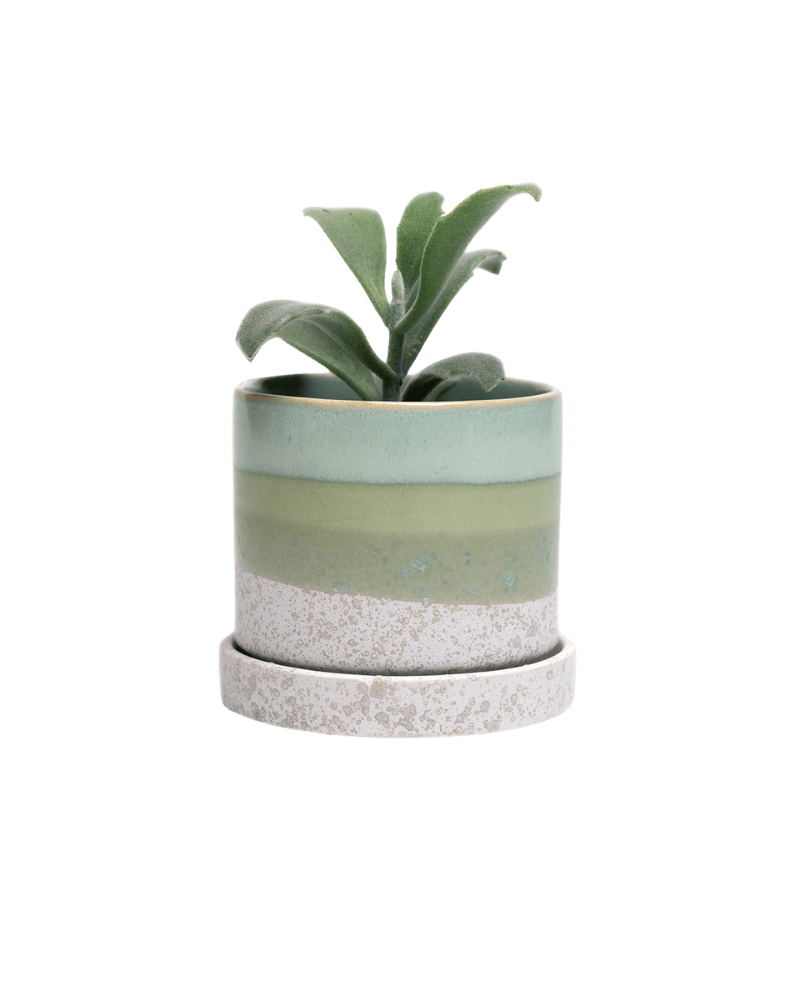 Minute Ceramic Pot And Saucer Set With Drainage | 3 inch - Chive Ceramics Studio - Pots - Chive Ceramics Studio
